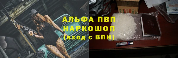 дмт Краснослободск